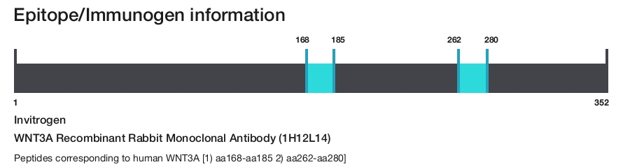 WNT3A Recombinant Rabbit Monoclonal Antibody (1H12L14)