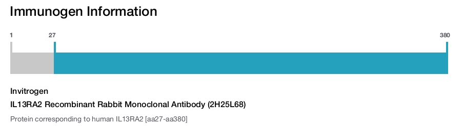 IL13RA2 Recombinant Rabbit Monoclonal Antibody (2H25L68)