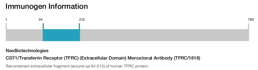 CD71/Transferrin Receptor (TFRC) (Extracellular Domain) Monoclonal Antibody (TFRC/1818)