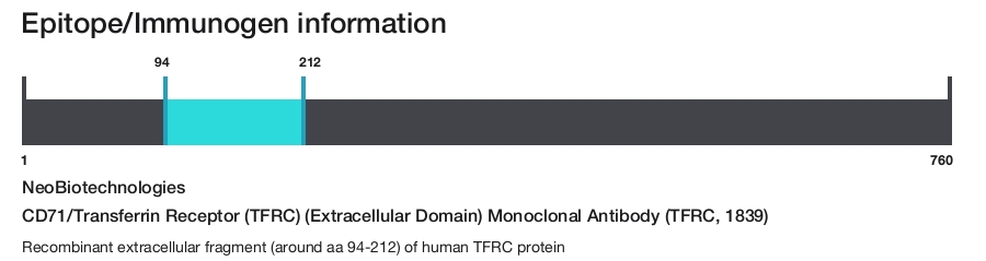CD71/Transferrin Receptor (TFRC) (Extracellular Domain) Monoclonal Antibody (TFRC, 1839)