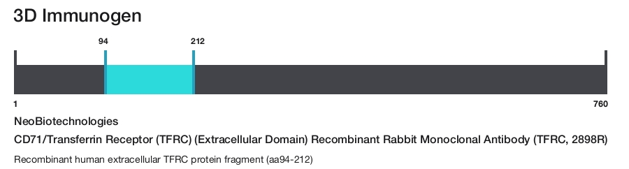 CD71/Transferrin Receptor (TFRC) (Extracellular Domain) Recombinant Rabbit Monoclonal Antibody (TFRC, 2898R)