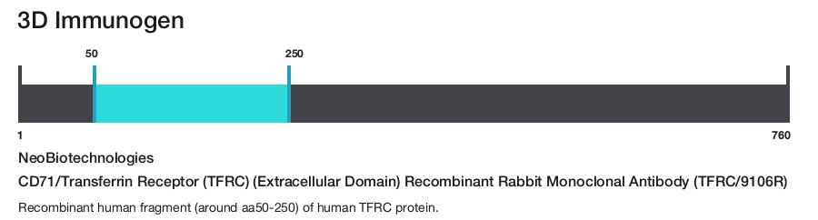 CD71/Transferrin Receptor (TFRC) (Extracellular Domain) Recombinant Rabbit Monoclonal Antibody (TFRC/9106R)