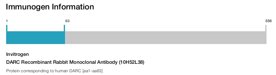 DARC Recombinant Rabbit Monoclonal Antibody (10H52L38)