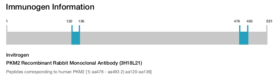 PKM2 Recombinant Rabbit Monoclonal Antibody (3H18L21)