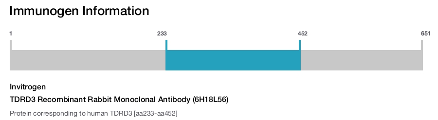 TDRD3 Recombinant Rabbit Monoclonal Antibody (6H18L56)