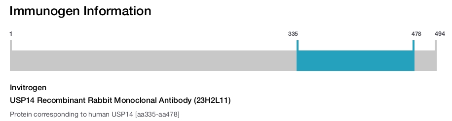 USP14 Recombinant Rabbit Monoclonal Antibody (23H2L11)
