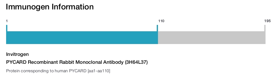 PYCARD Recombinant Rabbit Monoclonal Antibody (3H64L37)