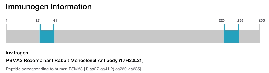PSMA3 Recombinant Rabbit Monoclonal Antibody (17H20L21)