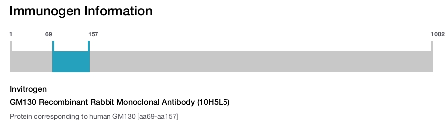 GM130 Recombinant Rabbit Monoclonal Antibody (10H5L5)
