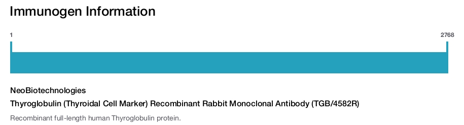Thyroglobulin (Thyroidal Cell Marker) Recombinant Rabbit Monoclonal Antibody (TGB/4582R)