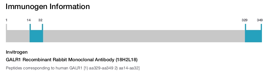 GALR1 Recombinant Rabbit Monoclonal Antibody (18H2L18)