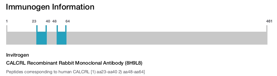 CALCRL Recombinant Rabbit Monoclonal Antibody (8H9L8)