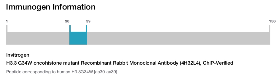 H3.3 G34W oncohistone mutant Recombinant Rabbit Monoclonal Antibody (4H32L4), ChIP-Verified