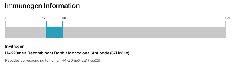 H4K20me3 Recombinant Rabbit Monoclonal Antibody (37H23L8)