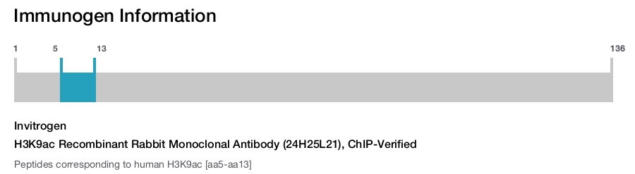 H3K9ac Recombinant Rabbit Monoclonal Antibody (24H25L21), ChIP-Verified
