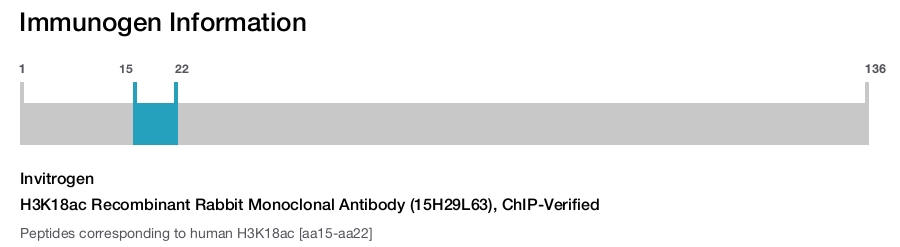 H3K18ac Recombinant Rabbit Monoclonal Antibody (15H29L63), ChIP-Verified