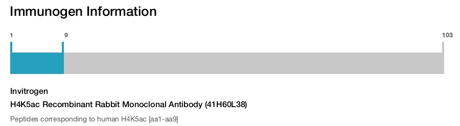 H4K5ac Recombinant Rabbit Monoclonal Antibody (41H60L38)
