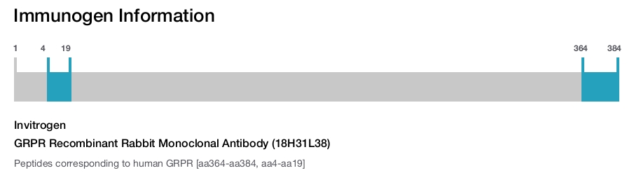 GRPR Recombinant Rabbit Monoclonal Antibody (18H31L38)