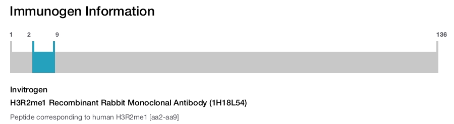 H3R2me1 Recombinant Rabbit Monoclonal Antibody (1H18L54)