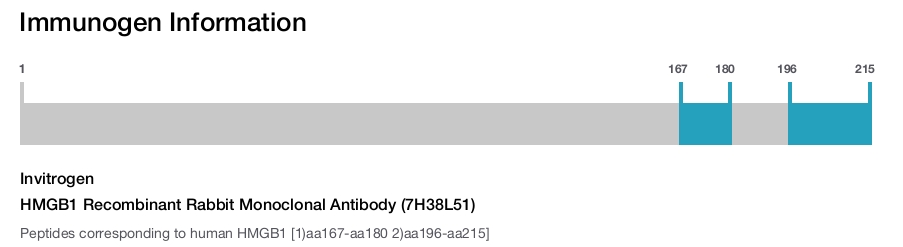 HMGB1 Recombinant Rabbit Monoclonal Antibody (7H38L51)