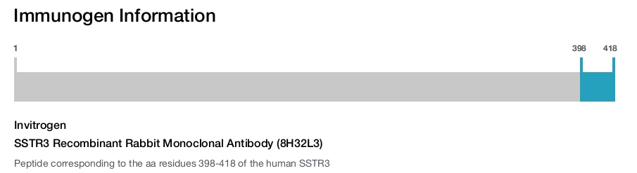 SSTR3 Recombinant Rabbit Monoclonal Antibody (8H32L3)