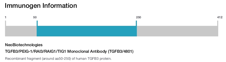 TGFB3/PEIG-1/RAI3/RAIG1/TIG1 Monoclonal Antibody (TGFB3/4801)