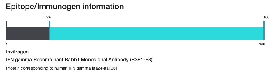IFN gamma Recombinant Rabbit Monoclonal Antibody (R3P1-E3)