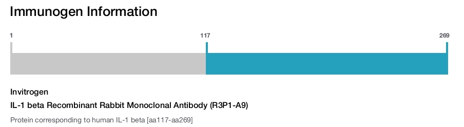 IL-1 beta Recombinant Rabbit Monoclonal Antibody (R3P1-A9)
