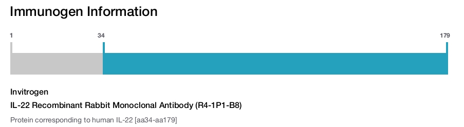IL-22 Recombinant Rabbit Monoclonal Antibody (R4-1P1-B8)