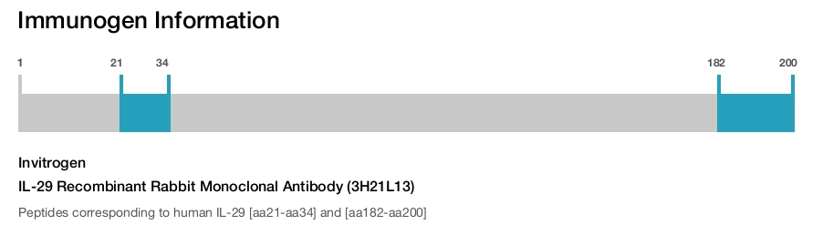 IL-29 Recombinant Rabbit Monoclonal Antibody (3H21L13)