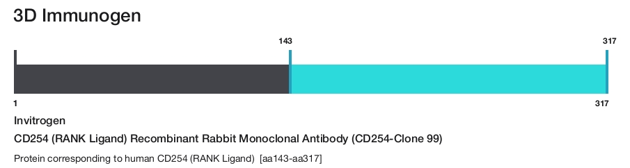 CD254 (RANK Ligand) Recombinant Rabbit Monoclonal Antibody (CD254-Clone 99)