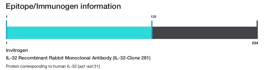 IL-32 Recombinant Rabbit Monoclonal Antibody (IL-32-Clone 281)