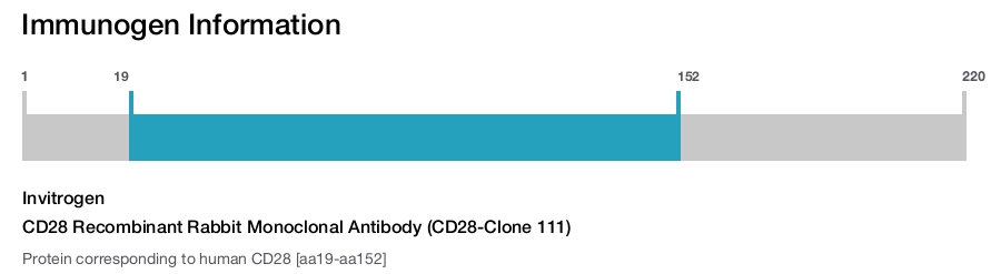 CD28 Recombinant Rabbit Monoclonal Antibody (CD28-Clone 111)
