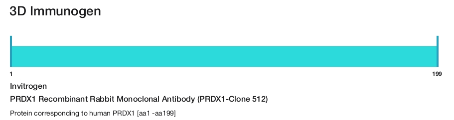 PRDX1 Recombinant Rabbit Monoclonal Antibody (PRDX1-Clone 512)