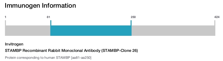 STAMBP Recombinant Rabbit Monoclonal Antibody (STAMBP-Clone 26)