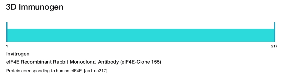 eIF4E Recombinant Rabbit Monoclonal Antibody (eIF4E-Clone 155)