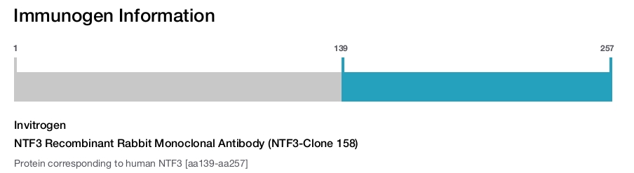 NTF3 Recombinant Rabbit Monoclonal Antibody (NTF3-Clone 158)