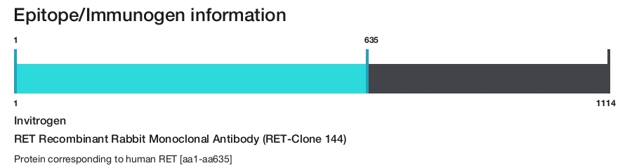 RET Recombinant Rabbit Monoclonal Antibody (RET-Clone 144)