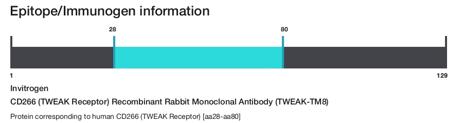 CD266 (TWEAK Receptor) Recombinant Rabbit Monoclonal Antibody (TWEAK-TM8)