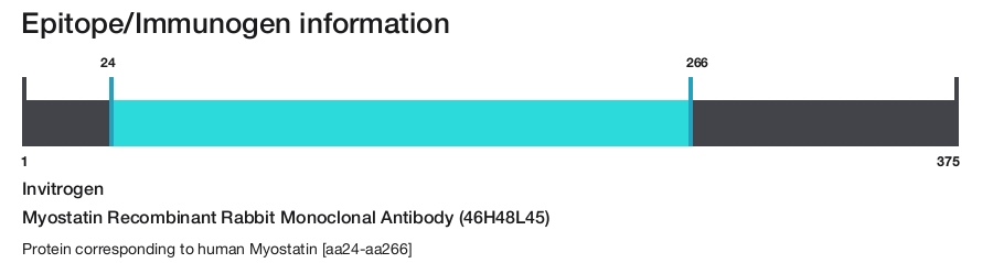 Myostatin Recombinant Rabbit Monoclonal Antibody (46H48L45)
