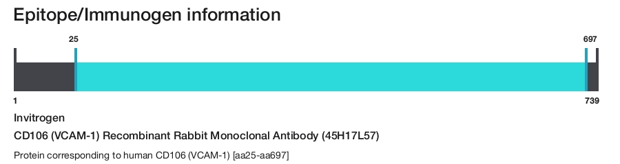 CD106 (VCAM-1) Recombinant Rabbit Monoclonal Antibody (45H17L57)