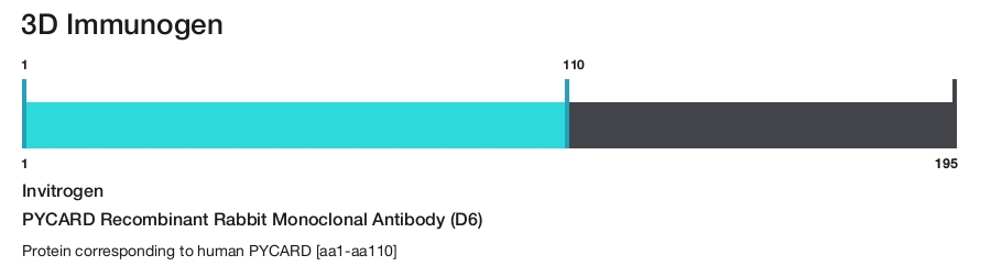 PYCARD Recombinant Rabbit Monoclonal Antibody (D6)