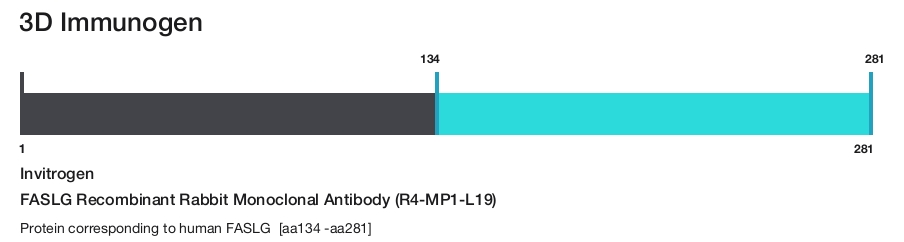 FASLG Recombinant Rabbit Monoclonal Antibody (R4-MP1-L19)