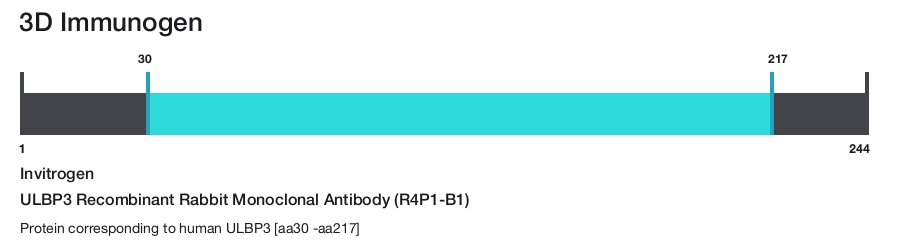 ULBP3 Recombinant Rabbit Monoclonal Antibody (R4P1-B1)
