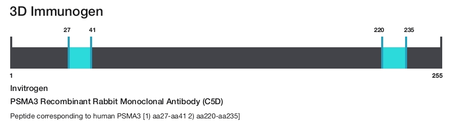 PSMA3 Recombinant Rabbit Monoclonal Antibody (C5D)