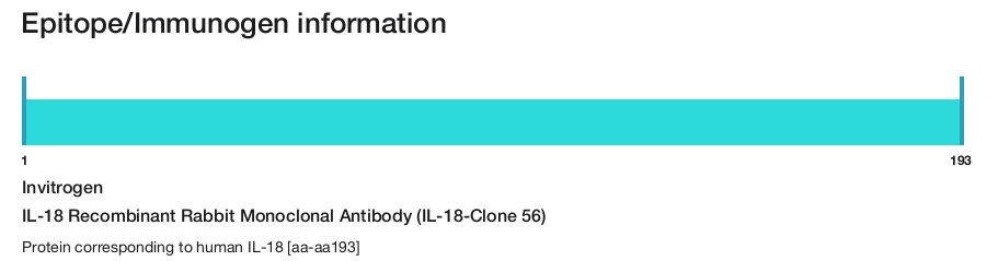 IL-18 Recombinant Rabbit Monoclonal Antibody (IL-18-Clone 56)