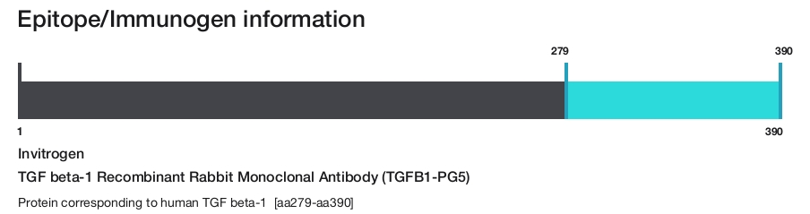 TGF beta-1 Recombinant Rabbit Monoclonal Antibody (TGFB1-PG5)