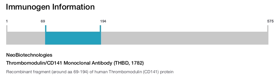 Thrombomodulin/CD141 Monoclonal Antibody (THBD, 1782)