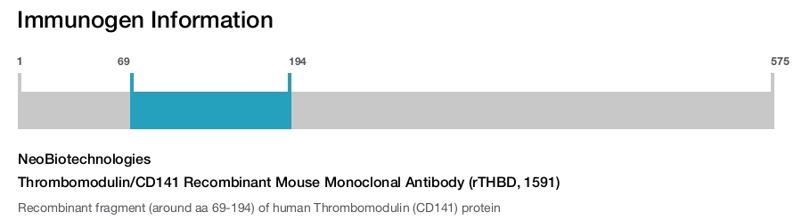 Thrombomodulin/CD141 Recombinant Mouse Monoclonal Antibody (rTHBD, 1591)