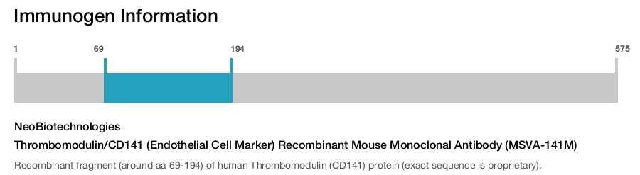 Thrombomodulin/CD141 (Endothelial Cell Marker) Recombinant Mouse Monoclonal Antibody (MSVA-141M)
